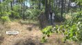 � ������ ����� � ����� ���������������� ����� 1800 ������ ������