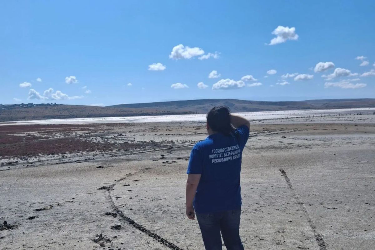 Госветслужба, в рамках месячника «ЛЕТНИЙ ВЕПРЬ» и «ГРИПП ПТИЦ» продолжает обследование территорий