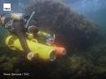 #архив_ТАСС_Юг. Водолазы во время испытания в Черном море подводного скутера, изготовленного в Ленинградском НПО "Компрессор"
