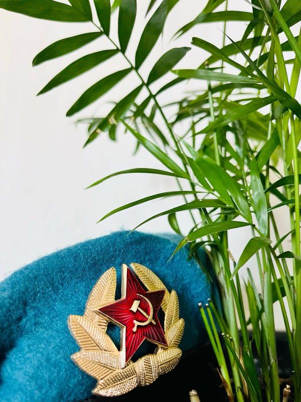 Кирилл Чебышев: Сегодня мы отмечаем День Воздушно-десантных войск — праздник мужественных, сильных духом и беззаветно преданных Родине людей
