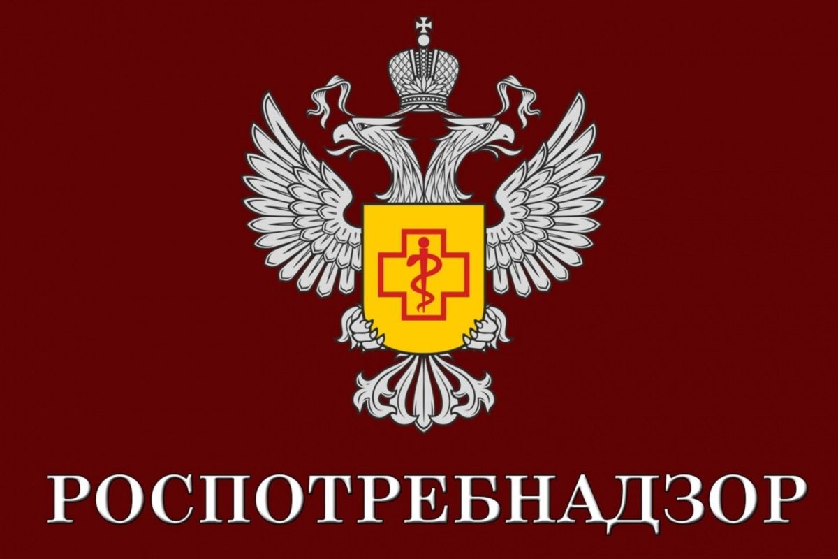 Выбираем арбуз: сладкий, вкусный, безопасный