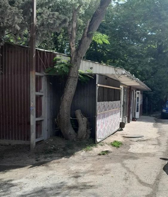 Перечень незаконно размещенных нестационарных объектов Перечень незаконно размещенных нестационарных объектов