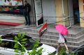 Дожди "разбавят" крымскую жару 4 августа