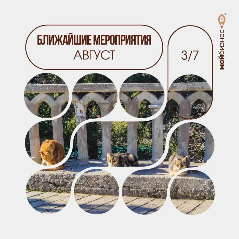 Успейте зарегистрироваться!