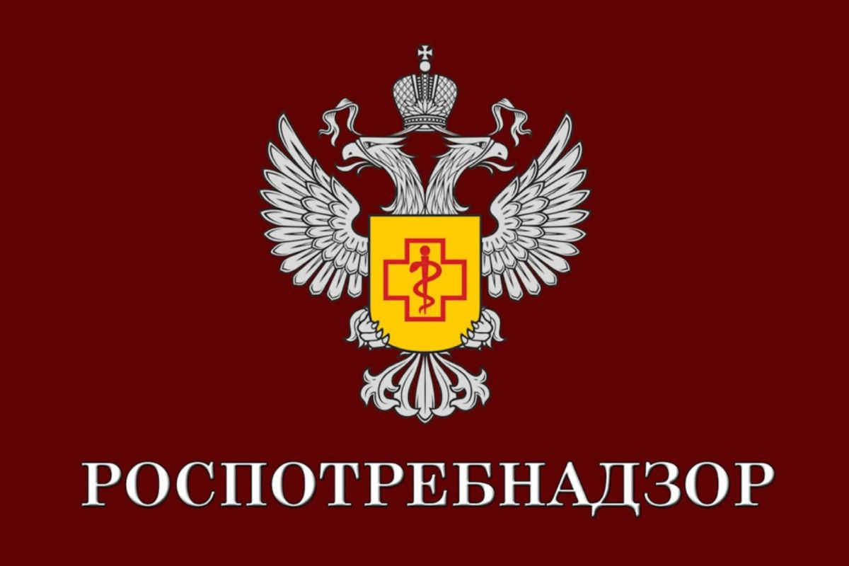 Рекомендации по выбору бахчевых