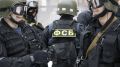 ФСБ изъяла 22 дрона у задержанного в Крыму россиянина