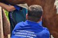 ГБУ РК «Ялтинский городской ВЛПЦ» выявил неучтённое поголовье крупного рогатого скота