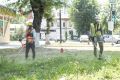 Администрация города Симферополя продолжает системную работу по борьбе с карантинным растением – амброзией полыннолистной