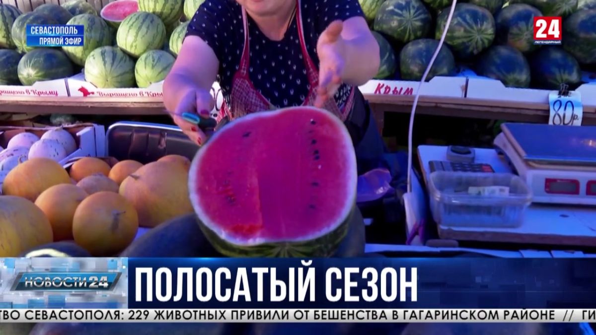 В Севастополе стартовал сезон арбузов