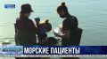 Морские пациенты: как севастопольские волонтёры спасают жизни дельфинов?