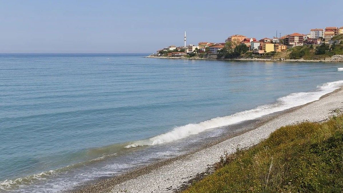 В МИД Турции призвали РФ и Украину снизить напряженность в Черном море