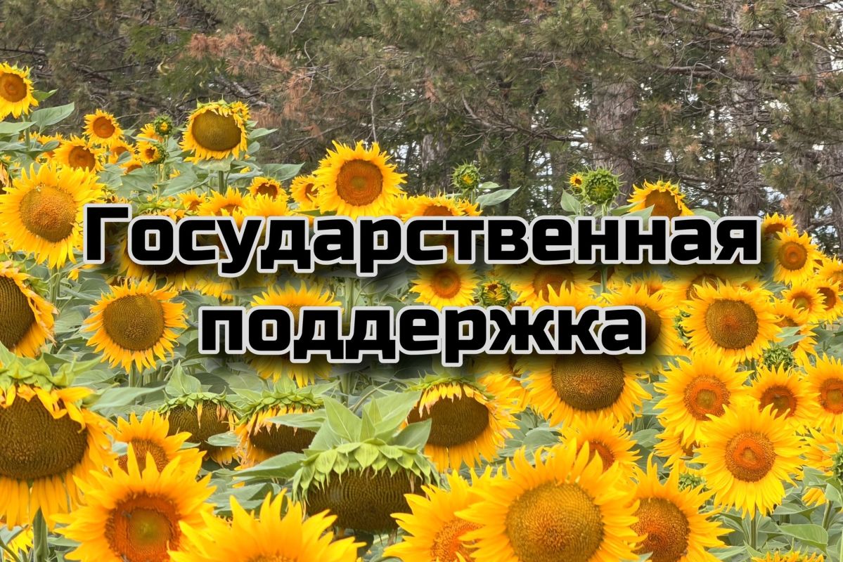 Минсельхоз Крыма начал прием документов на субсидирование страхования посевов