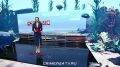 Севастопольские учёные научились определять чистоту моря по движениям медуз