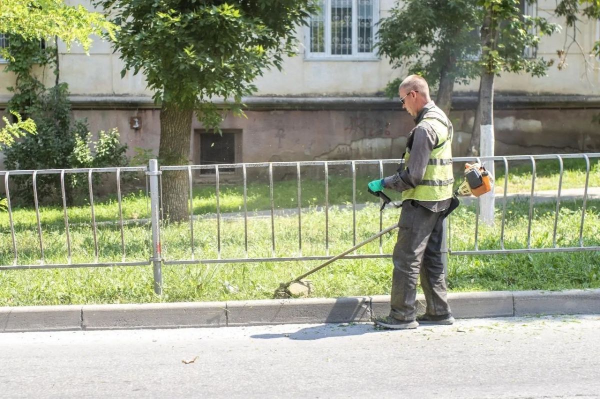 В Симферополе продолжают бороться с амброзией В Симферополе продолжают бороться с амброзией