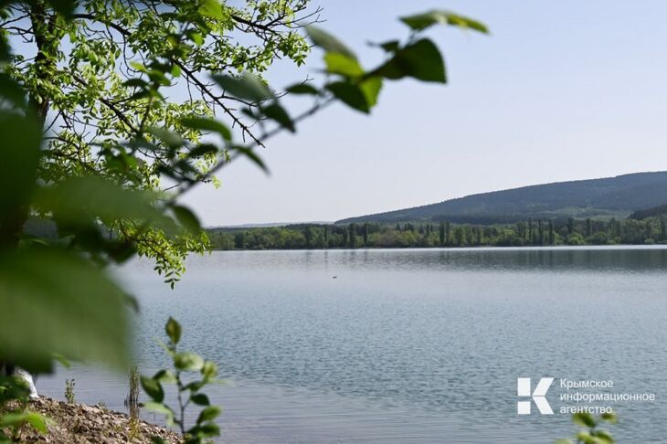 На берегах Симферопольского водохранилища обнаружены погибшие птицы