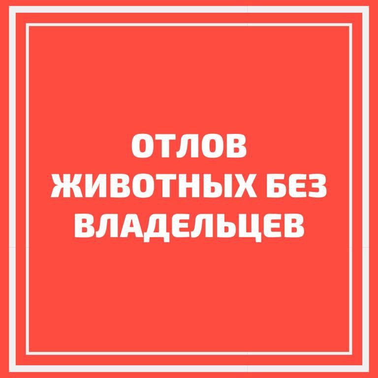 Уважаемые жители и гости города Армянска!