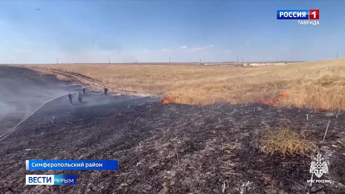 Сегодня днём в Симферопольском районе спасателям удалось потушить сразу несколько крупных пожаров