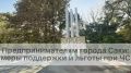 Предпринимателям города Саки: меры поддержки и льготы в период действия режима ЧС
