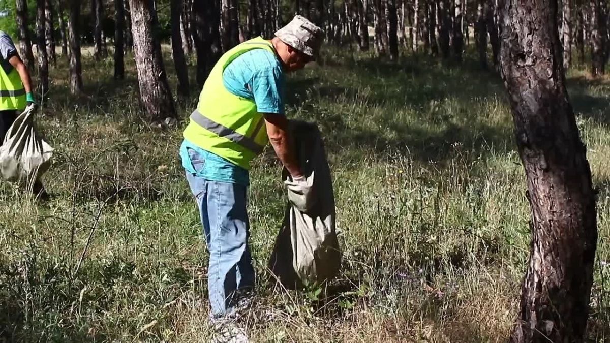 В Симферополе продолжается комплексная уборка городских лесов