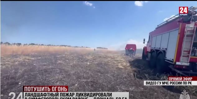 Ландшафтный пожар ликвидировали в Симферопольском районе