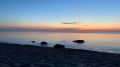 Из-за повышения солености в Азовском море растет количество медуз
