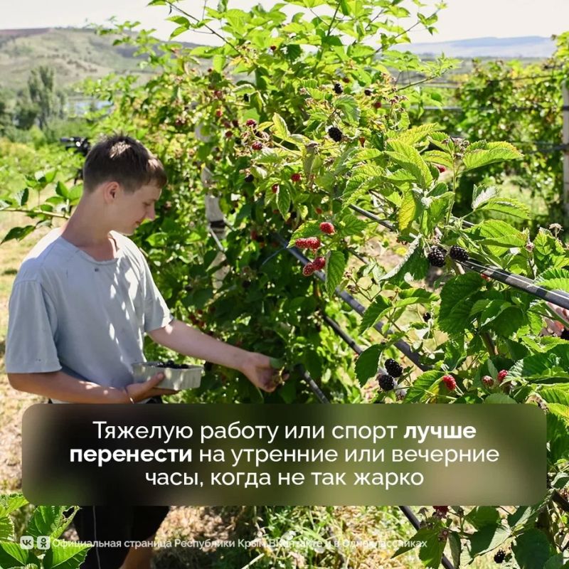 До 9 августа на полуострове ожидается аномально жаркая погода со средней суточной температурой воздуха на 7°С выше климатической нормы До 9 августа на полуострове ожидается аномально жаркая погода со средней суточной температурой воздуха на 7°С выше климатической нормы