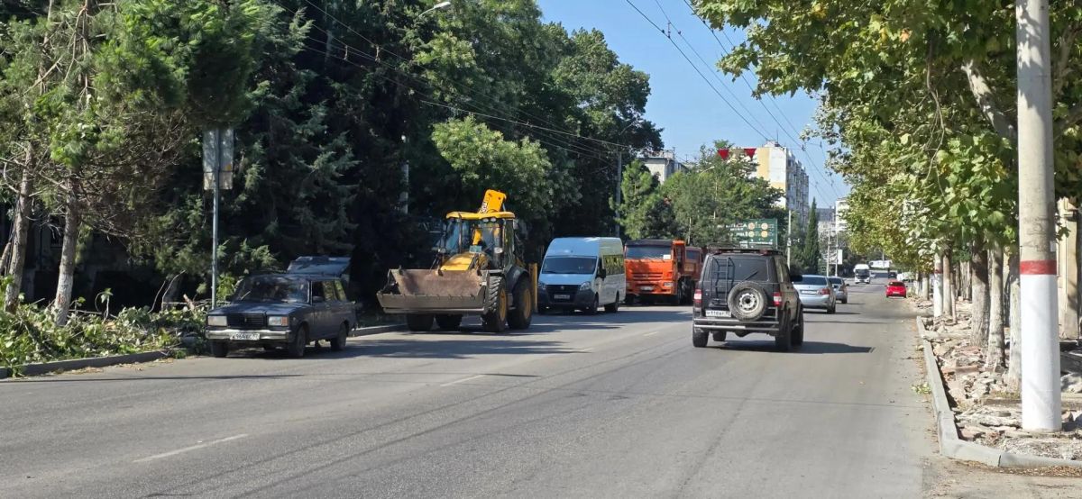 В центре Керчи убрали поваленное дерево В центре Керчи убрали поваленное дерево