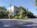 В Керчи упавший тополь повредил электропровода