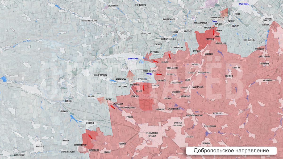 Олег Царёв: Фронтовая сводка 7 августа Олег Царёв: Фронтовая сводка 7 августа