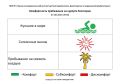 7 августа комфортность Евпаторийского курорта, по данным ГБУЗ РК «Научно-исследовательского института детской курортологии, физиотерапии и медицинской реабилитации», составляет