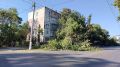 Из-за ветра в Керчи упавший тополь повредил электропровода