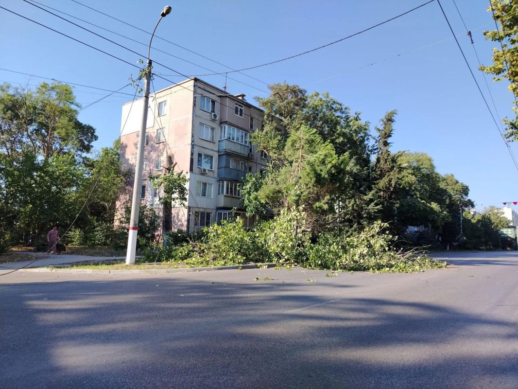 В центре Керчи убрали поваленное дерево В центре Керчи убрали поваленное дерево