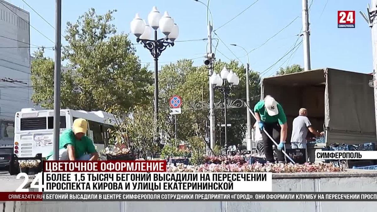 Более 1,5 тысяч бегоний высадили на пересечении проспекта Кирова и улицы Екатерининской