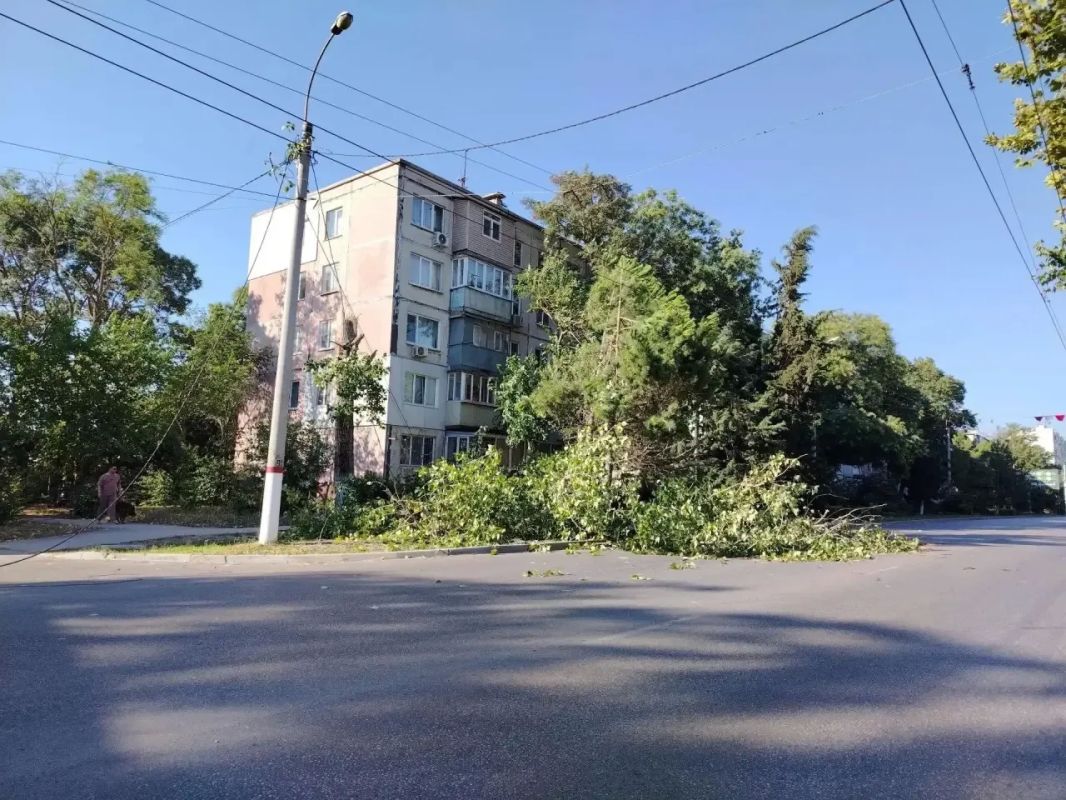 Иван Кошель: В результате усиления северо-восточного ветра в районе ул. Свердлова, 31, упал тополь, повредил электропровода