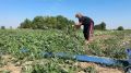 � ���� ���������� ������������������ ������ ��� ���������� ����� � ������ ����� �������