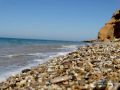 Роспотребнадзор проверил морскую воду в Крыму – что показали пробы?
