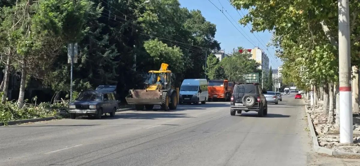 Иван Кошель: В результате усиления северо-восточного ветра в районе ул. Свердлова, 31, упал тополь, повредил электропровода Иван Кошель: В результате усиления северо-восточного ветра в районе ул. Свердлова, 31, упал тополь, повредил электропровода