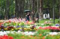 От Гаспры до Керчи обновляют исторические парки, создают новые прогулочные зоны, восстанавливают фонтаны и высаживают тысячи растений