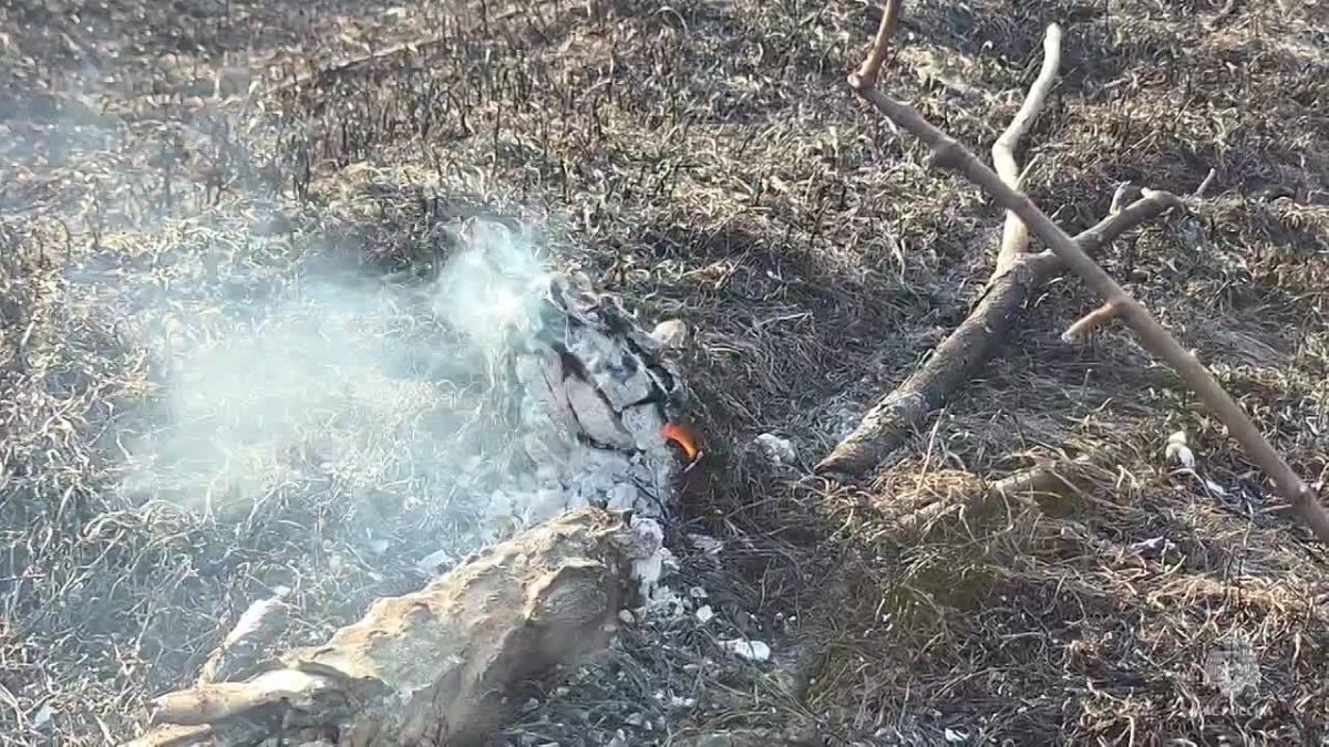 В Севастополе ликвидировали лесной пожар на площади в семь гектаров