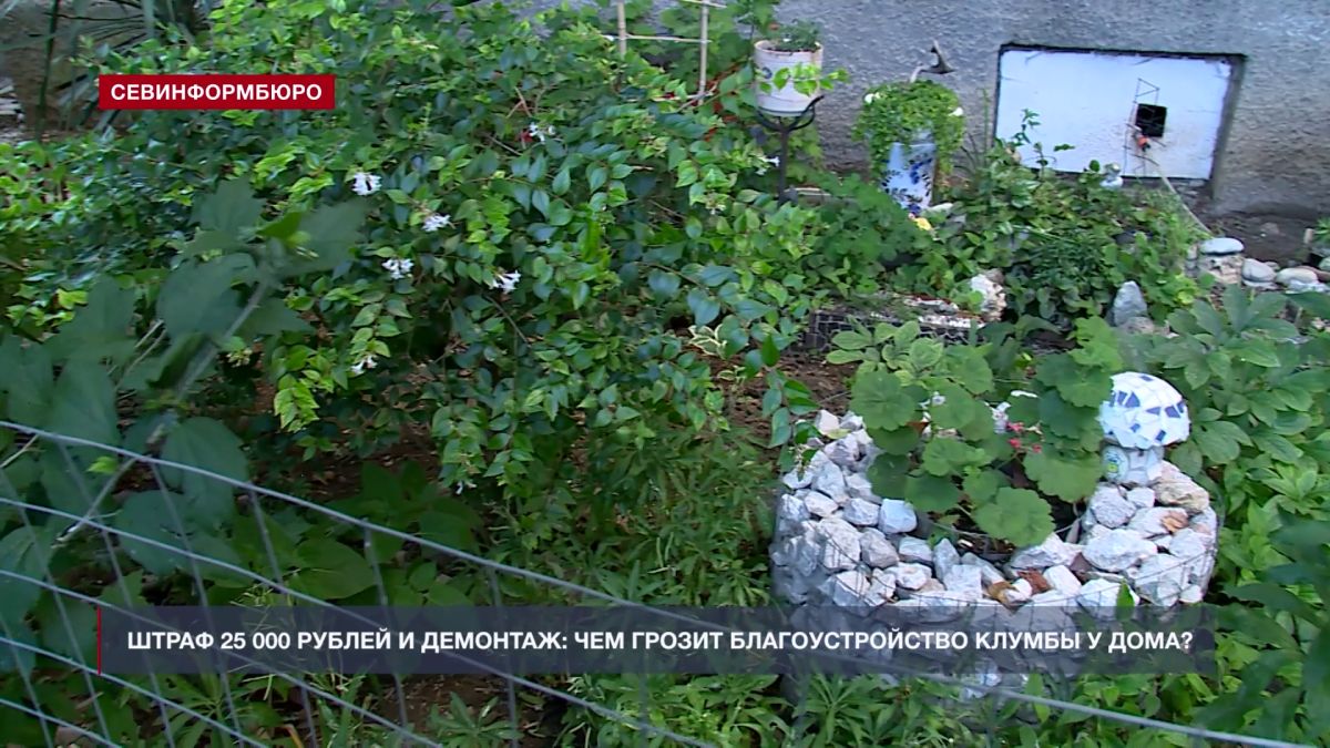 Основные события недели в Севастополе: 3 – 9 августа Основные события недели в Севастополе: 3 – 9 августа