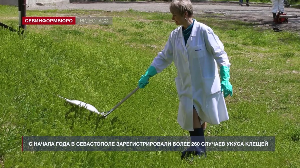Основные события недели в Севастополе: 3 – 9 августа Основные события недели в Севастополе: 3 – 9 августа