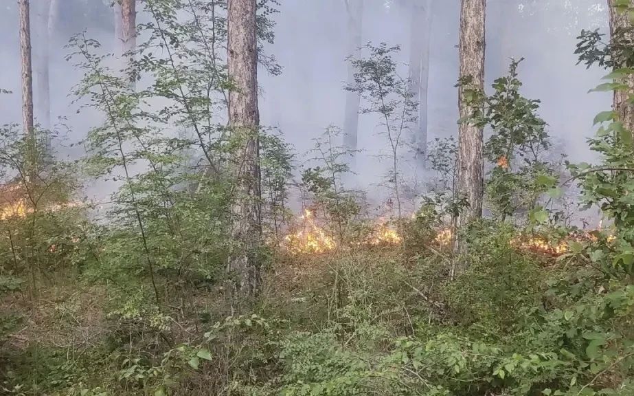 Борьба со стихией. 20 пожаров произошло за минувшие выходные в Крыму, 13 из них природные, 36 техногенного характера Борьба со стихией. 20 пожаров произошло за минувшие выходные в Крыму, 13 из них природные, 36 техногенного характера