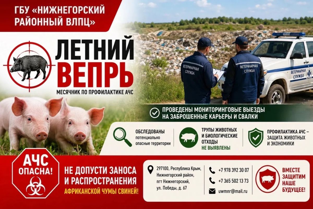 Специалисты ГБУ «Нижнегорский РВЛПЦ» провели мониторинговые выезды по Нижнегорскому району