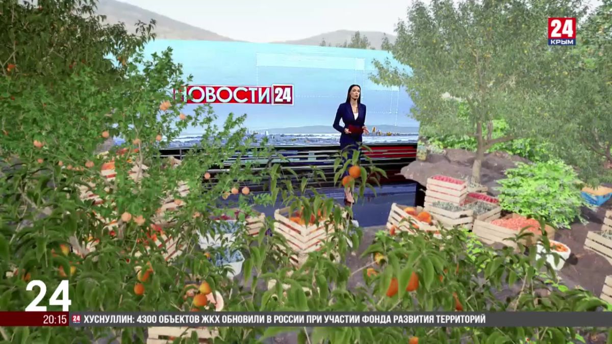 Крымским аграриям выделили 325 миллионов рублей на приобретение саженцев и закладку садов в этом году