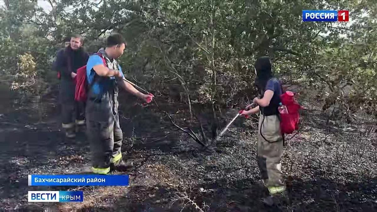 С 11 по 13 августа в центральных, восточных и южных районах Крыма из-за жаркой погоды сохранится чрезвычайная пожарная опасность