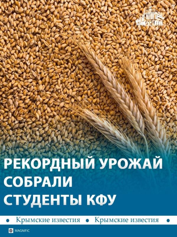 5,2 тыс тонн зерна собрали в учебноопытном хозяйстве КФУ