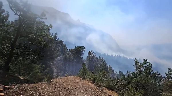 Пожар в лесу под Севастополем после атаки БПЛА разросся на 15 гектаров