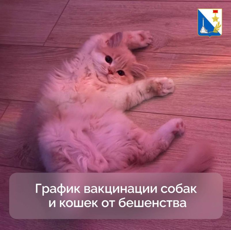 83 питомца бесплатно привили от бешенства в Ленинском районе