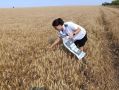 Россельхознадзор выявил пестициды в крымских томатах, огурцах и клубнике