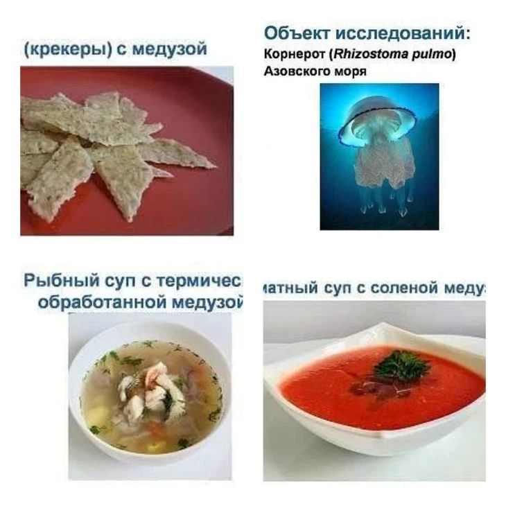 Мармелад, чипсы и даже крекеры из медуз — это уже не фантастика